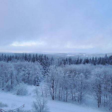 Ferienwohnung Skadi, Hahnenklee Goslar Buitenkant foto