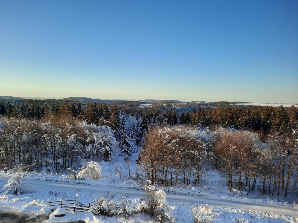 Ferienwohnung Skadi, Hahnenklee Goslar Buitenkant foto