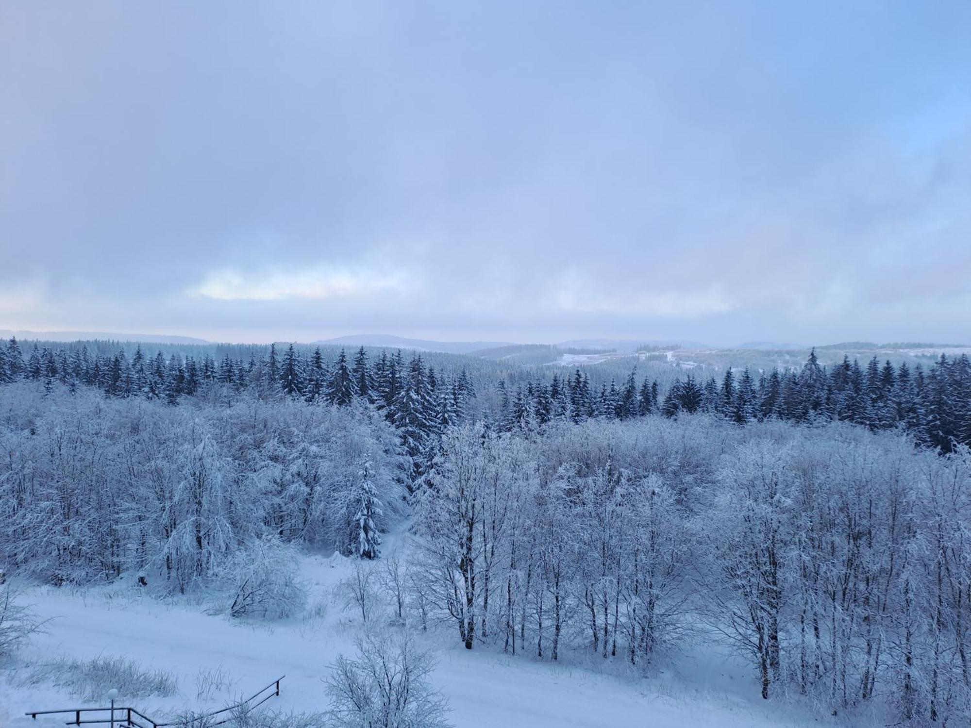 Ferienwohnung Skadi, Hahnenklee Goslar Buitenkant foto