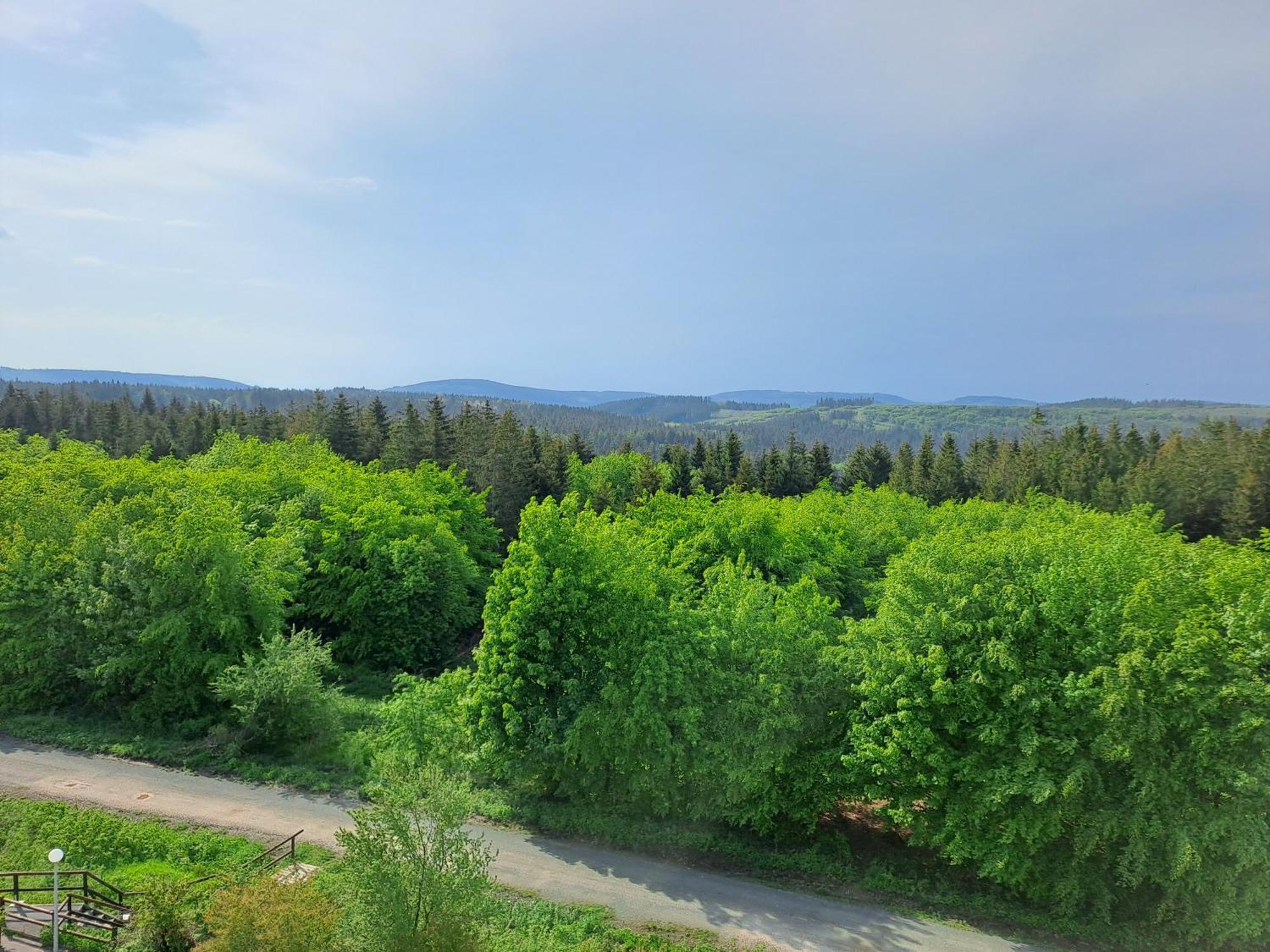 Ferienwohnung Skadi, Hahnenklee Goslar Buitenkant foto